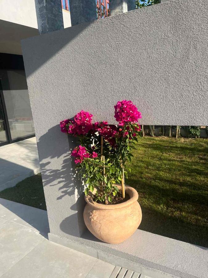 Grand Kourouta Exterior foto